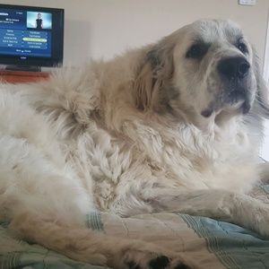 Meet your Posher, Annette